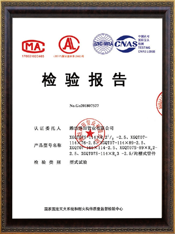 檢驗(yàn)報(bào)告