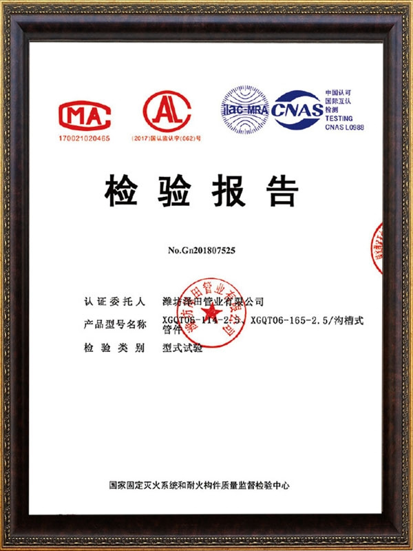 檢驗(yàn)報(bào)告