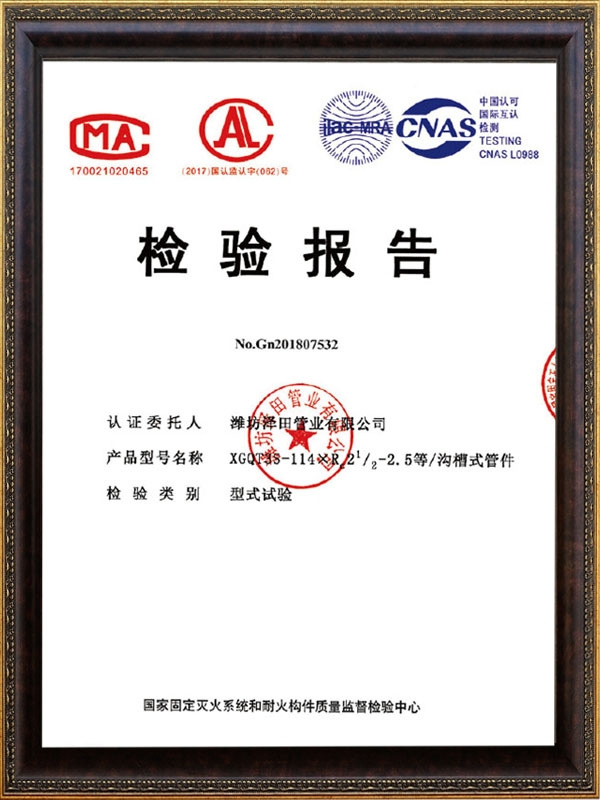 檢驗(yàn)報(bào)告